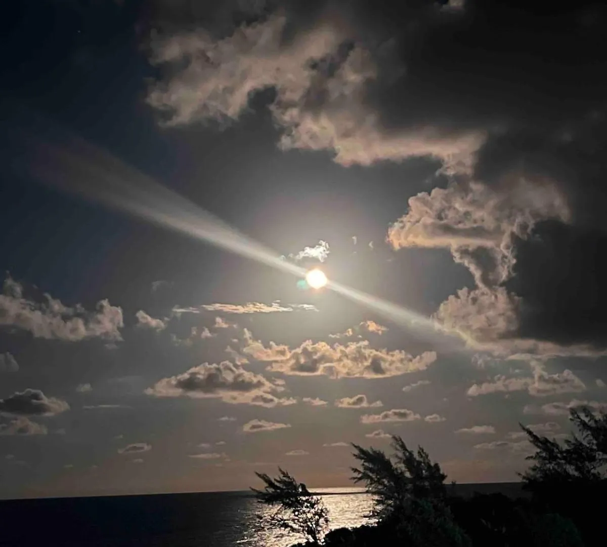 Sea Castle Montego Bay -1-Bedroom Beachfront Escape With Stunning Views Apartment