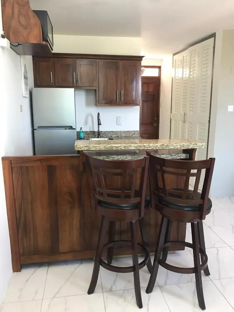 Apartment Sea Castle Montego Bay -1-Bedroom Beachfront Escape With Stunning Views